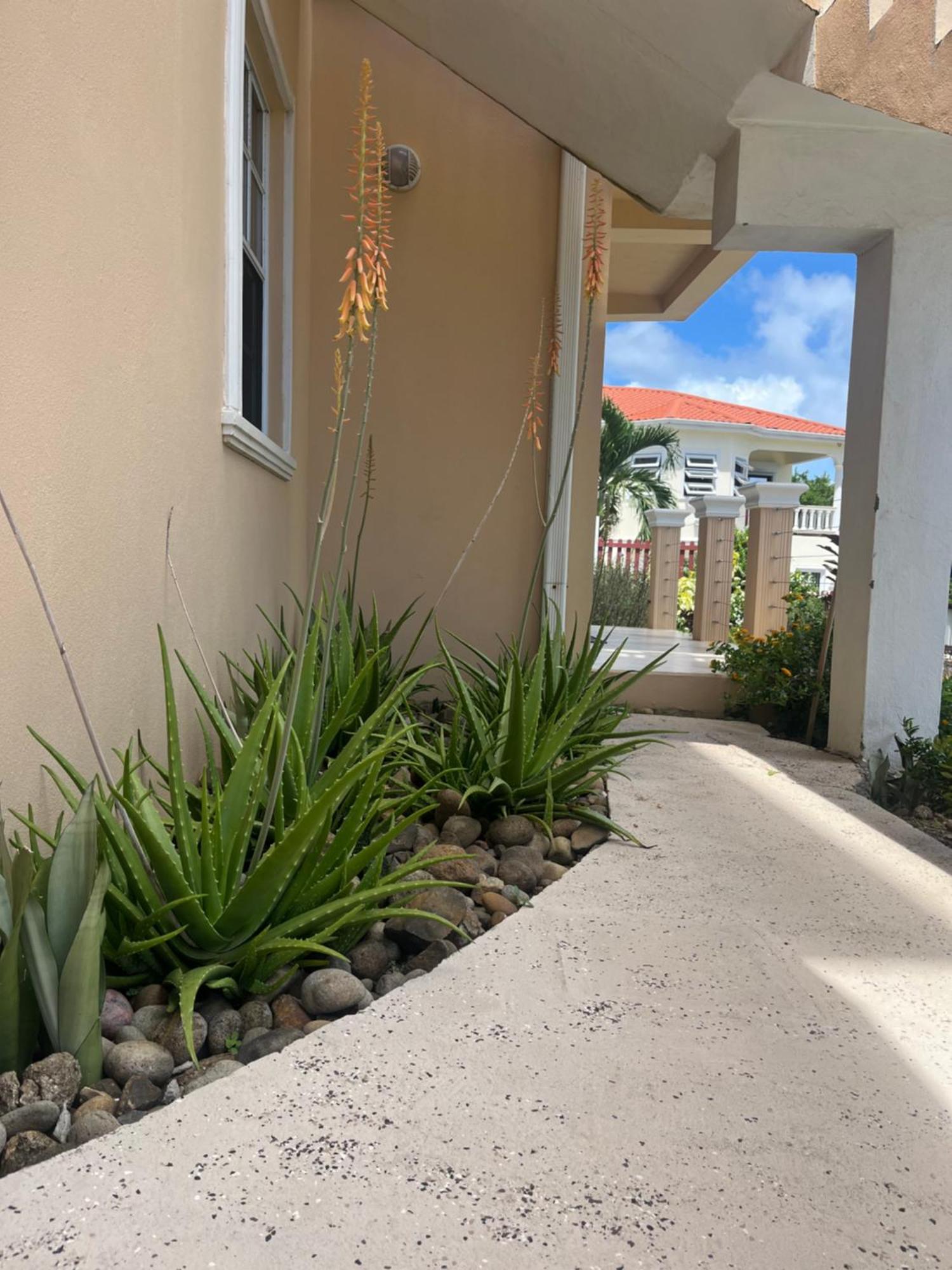 Belle Breeze Haven Lejlighed Gros Islet Eksteriør billede