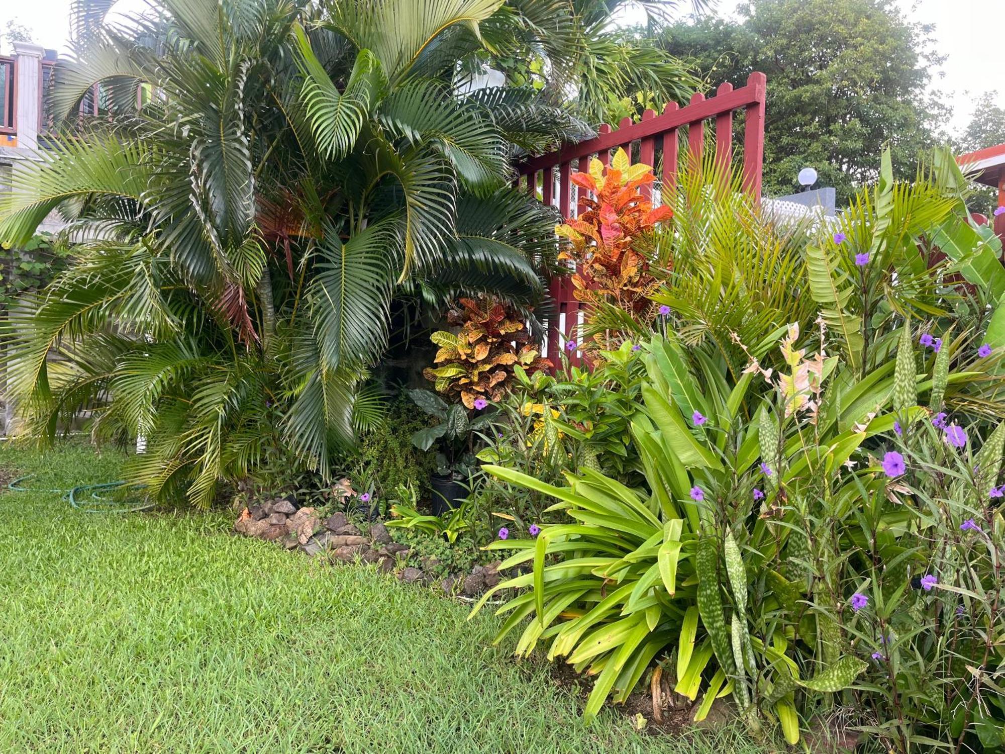 Belle Breeze Haven Lejlighed Gros Islet Eksteriør billede